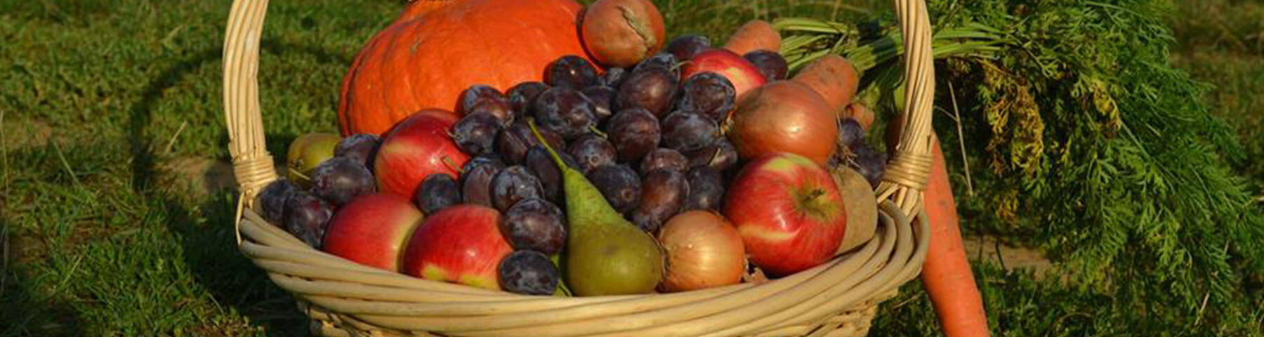 La ferme des fruitiers à Coyviller