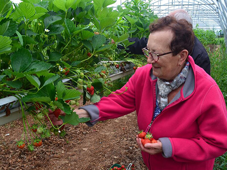 La ferme des fruitiers à Coyviller