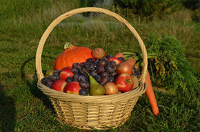 La ferme des fruitiers à Coyviller